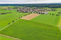 Der Drohnenflug offenbart die Ausmaße des außergewöhnlichen Maislabyrinths. Der Eingang ist unten links. • © Markus Arndt, Baisweil