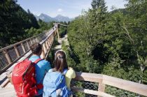 Baumkronenweg im Walderlebniszentrum Ziegelwies in Füssen. • © Füssen Tourismus und Marketing / Gerhard Eisenschink