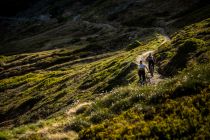 Der Hochalm-Trail in der Bikearea Saalbach. • © saalbach.com - Nathan Hughes