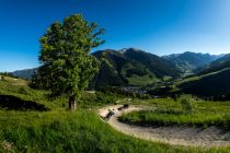 Unterwegs auf der Monti-Line in Saalbach. • © saalbach.com - Nathan Hughes