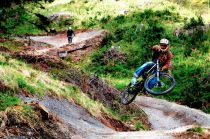 Der Singletrail Muttersberg in Bludenz bietet so manche Herausforderung. • © Michael Schiller