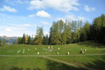 Steinkreis in Bürserberg. • © Alpenregion Bludenz Tourismus GmbH