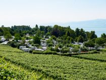 Campingplatz Alpenblick in Hagnau am Bodensee • © alpintreff.de / christian schön