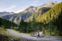 Der Naturlehrpfad Oberhauser Zirbenwald befindet sich in St. Jakob in Defereggen. • © Tirol Werbung / Heinzlmeier Bert