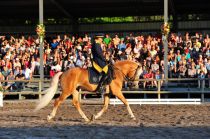 Die Shows am Welthaflingerzentrum, dem Fohlenhof in Ebbs, sind eindrucksvoll.  • © TVB Kufsteinerland, Fohlenhof Ebbs