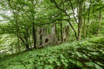 Die Ruine Katzenstein in Erl liegt etwas versteckt im Wald.  • © TVB Kufsteinerland, Sportalpen Marketing
