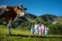 Der Erlebnisberg Gamskogel hält Abenteuer für die ganze Familie bereit.  • © Zauchensee Liftgesellschaft