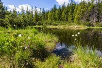 Die idyllisch liegende Schwarze Lacke in Filzmoos.  • © Filzmoos Tourismus, Coen Weesjes