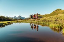 Wandern in Flachau.  • © Flachau Tourismus, Ulrich Grill