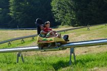 Der Grünberg-Flitzer ist ein Mountain Coaster. • © Grünberg Seilbahn, Wolfgang Spitzbart