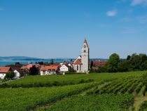 Blick auf Hagnau am Bodensee • © alpintreff.de / christian schön