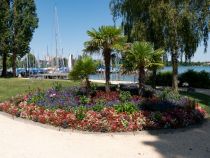 Immenstaad am Bodensee: Blumenbeet mit Yachthafen • © alpintreff.de / christian schön