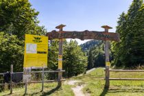 Der Start des Lisi Osl Trails in Kirchberg. • © alpintreff.de - Silke Schön