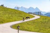 Unterwegs mit dem Mountainbike am Hahnenkamm. • © alpintreff.de - Silke Schön