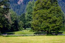 Entspannen auf dem Golfplatz Kitzbühel-Schwarzsee-Reith. • © alpintreff.de - Silke Schön