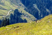 Unterwegs auf einem der KitzSki Bike Trails.  • © alpintreff.de - Silke Schön