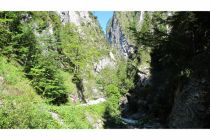 Die Kundler Klamm ist sehr gut für Familien geeignet. • © Wildschönau Tourismus