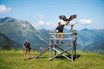 Beeindruckende Schwingen vor beeindruckender Bergkulisse.  • © Mayrhofner Bergbahnen