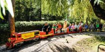 Kleine Züge im Minidampf Tirol in Mieming (Barwies) • © Innsbruck Tourismus / Laurin Moser