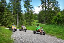 Mit den Mountaincarts macht Downhill besonders viel Spaß. • © Alpenwelt Karwendel / KEW - Rudolf Pohmann