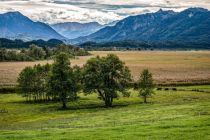 Das Murnauer Moos im Blauen Land in Oberbayern. • © Thomas B. auf pixabay.com (950473)