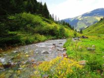 Die Zillertaler Alpen sind ein besonderes Fleckchen Erde. © moni quayle auf pixabay.com (2426724) Die Zillertaler Alpen sind ein besonderes Fleckchen Erde. © moni quayle auf pixabay.com (2426724)
