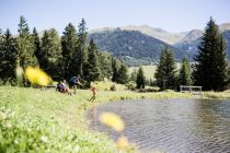 Entspannen im Waldpark Mösle in Nauders. • © TVB Tiroler Oberland Nauders, Daniel Zangerl