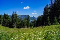 Das ist nicht Haldenwang, sondern nur ein Symbolbild für das Oberallgäu.  • © CeeSee auf pixabay.com