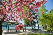 Der Pavillon auf der Pörtschacher Halbinsel im Frühling.  • © Wörthersee Tourismus GmbH, Foto Gerdl