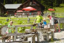 Eine tolle Familienzeit verspricht der Alles Alm-Rundweg in Radstadt. • © Tourismusverband Radstadt, Markus Rohrbacher