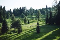 Der Golfplatz Seefeld-Wildmoos. • © Olympiaregion Seefeld