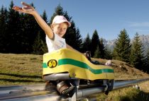 Die Sommerrodelbahn führt von der Bergstation zur Talstation der Serlesbahn. • © TVB Stubai Tirol