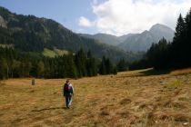 Eine Wanderung durch das Strausbergmoos in Sonthofen tut Körper und Seele gut.  • © Stadt Sonthofen