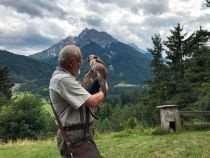 Greifvogel-Experte im Stubaital. • © TVB Stubai