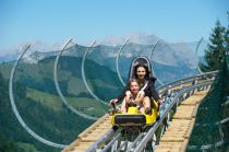 Timoks Alpine Coaster gehört zu Timoks Wilder Welt in Fieberbrunn. © Kitzbüheler Alpen, Niederwieser Toni Timoks Alpine Coaster gehört zu Timoks Wilder Welt in Fieberbrunn. © Kitzbüheler Alpen, Niederwieser Toni