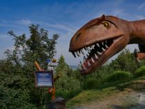 Triassic Park an der Steinplatte in Waidring • © alpintreff.de / christian schön