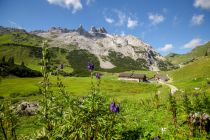 Die Alpe Spora.  • © Montafon Tourismus GmbH, Stefan Kothner
