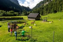 Wilde und zahme Tiere im Freizeit & Wildpark in Untertauern. • © Tourismusverband Obertauern