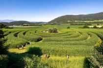 Du kannst Dir unter Elefantengras nichts vorstellen? So sieht das Labyrinth in Völkermarkt aus.  • © Labyrinth im Elefantengras