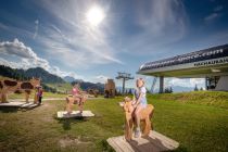 Auf dem KUHbidu Erlebnisweg am Grafenberg in Wagrain dreht sich alles um Kühe und Milch. • © Snow Space Salzburg, Christoph Huber