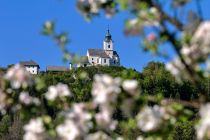 Kirche Sternberg in Wernberg. • © Region Villach Tourismus, Adrian Hipp