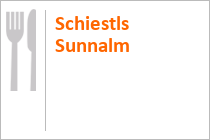 Schiestl´s Sunnalm -  Hippach im Zillertal