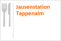 Jausenstation Tappenalm - Schwendau im Zillertal