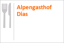Alpengasthof Dias - Kappl