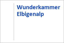 Wunderkammer - Elbigenalp