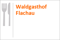 Bergrestaurant Waldgasthof Flachau - Flachau