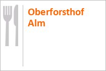 Bergrestaurant Oberforsthof Alm - St. Johann-Alpendorf - Salzburger Land