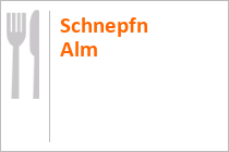 Schnepfn Alm - Schladming - Steiermark