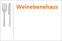 Leider nur noch das Heck erwischt: Die MS Kärnten am Kraftwerk Forstsee auf dem Wörthersee • © alpintreff.de / christian schön