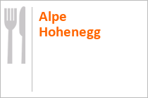 Alpe Hohenegg - Oberstaufen - Allgäu